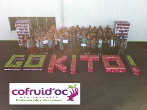 GoKitoCofruidoc