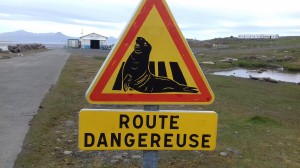 Route dangereuse