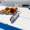 TRANSAT JACQUES VABRE 2017 ARRIVALS